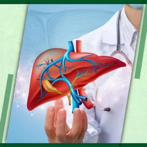 Liver-slider